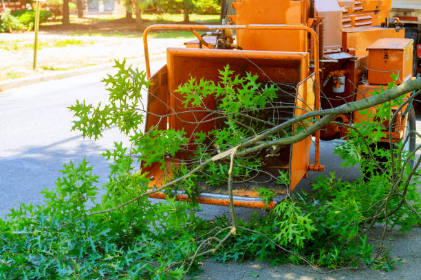  , USA Tree Services Pros